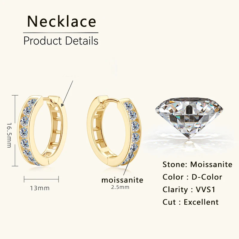 Lynn's Moissanite Hoop Earrings