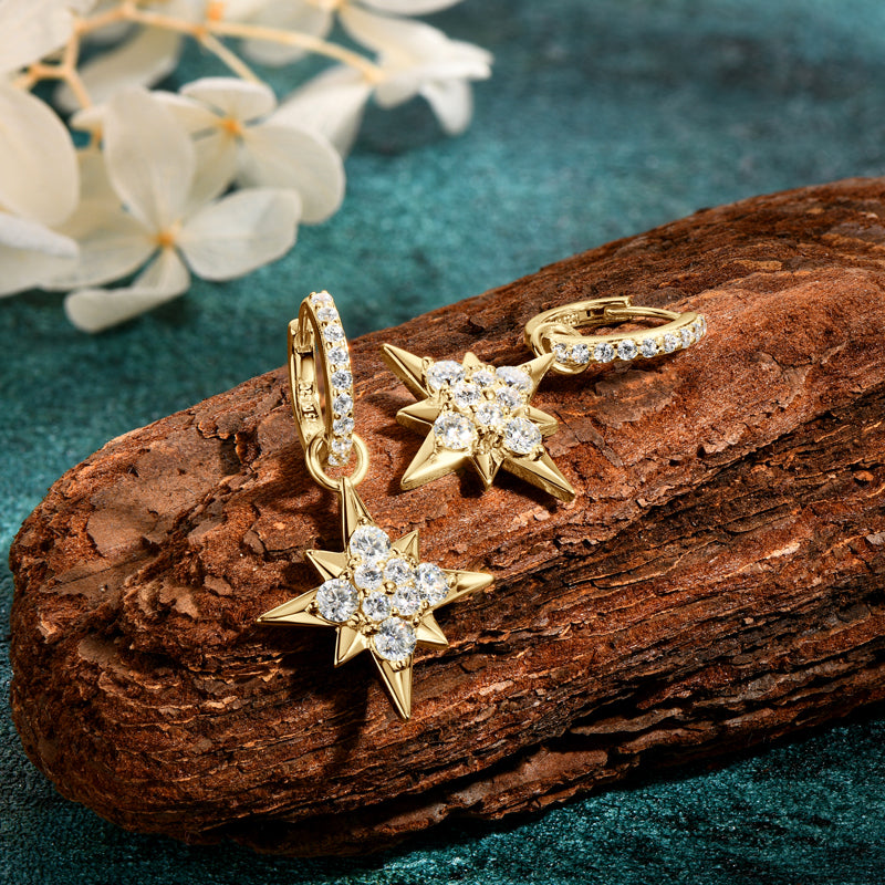 Lynn's Star Shiny Moissanite Earrings