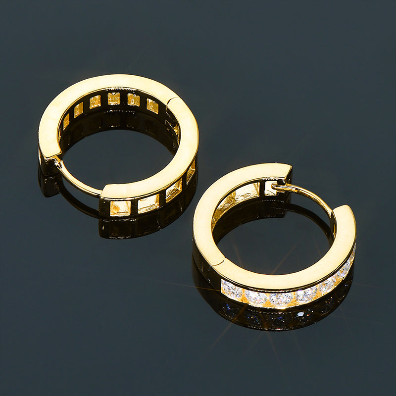 Lynn's Moissanite Hoop Earrings