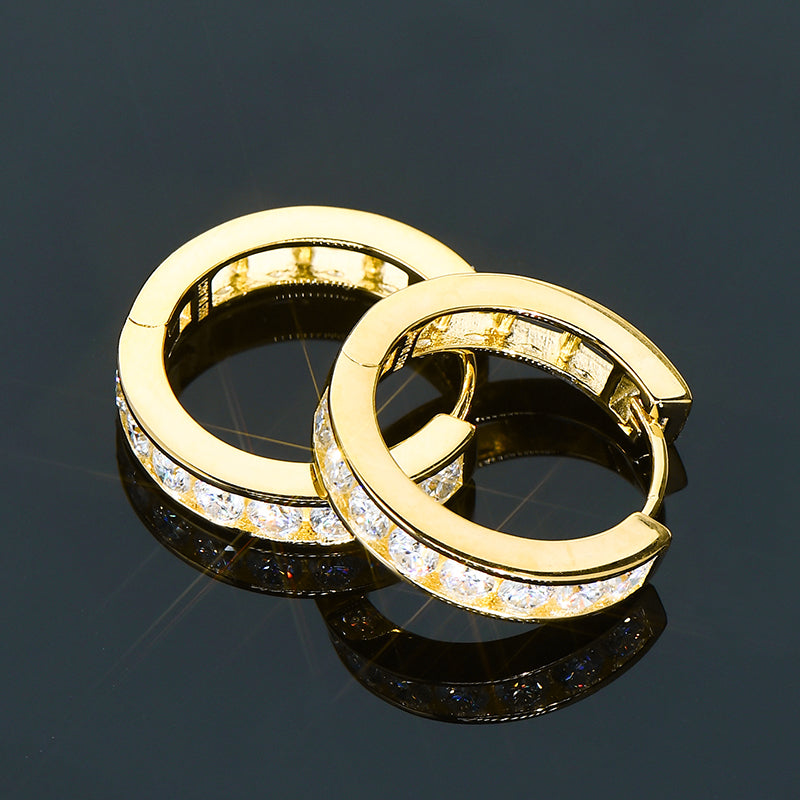 Lynn's Moissanite Hoop Earrings