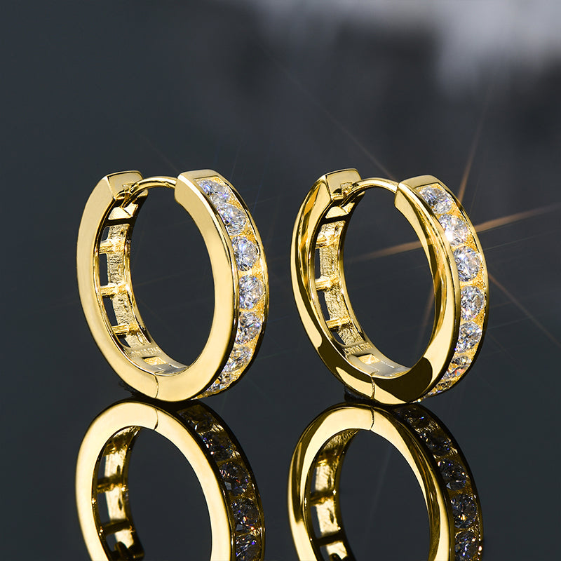 Lynn's Moissanite Hoop Earrings