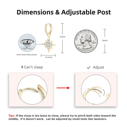 Lynn's Star Shiny Moissanite Earrings