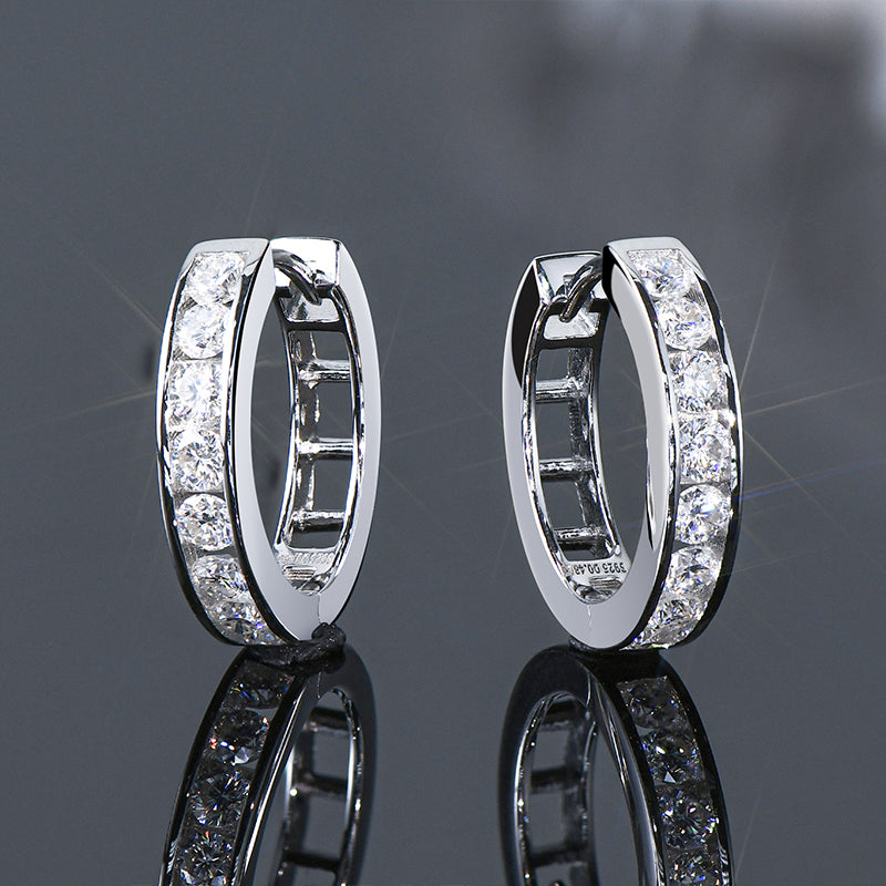 Lynn's Moissanite Hoop Earrings