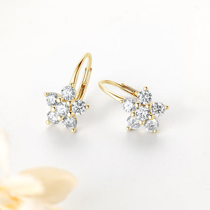 Daily Jewelry Star Moissanite Hoop Earrings